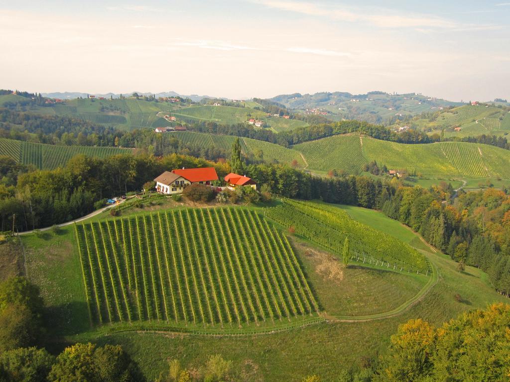 Weingut- Gaestezimmer Marko Leutschach Kültér fotó