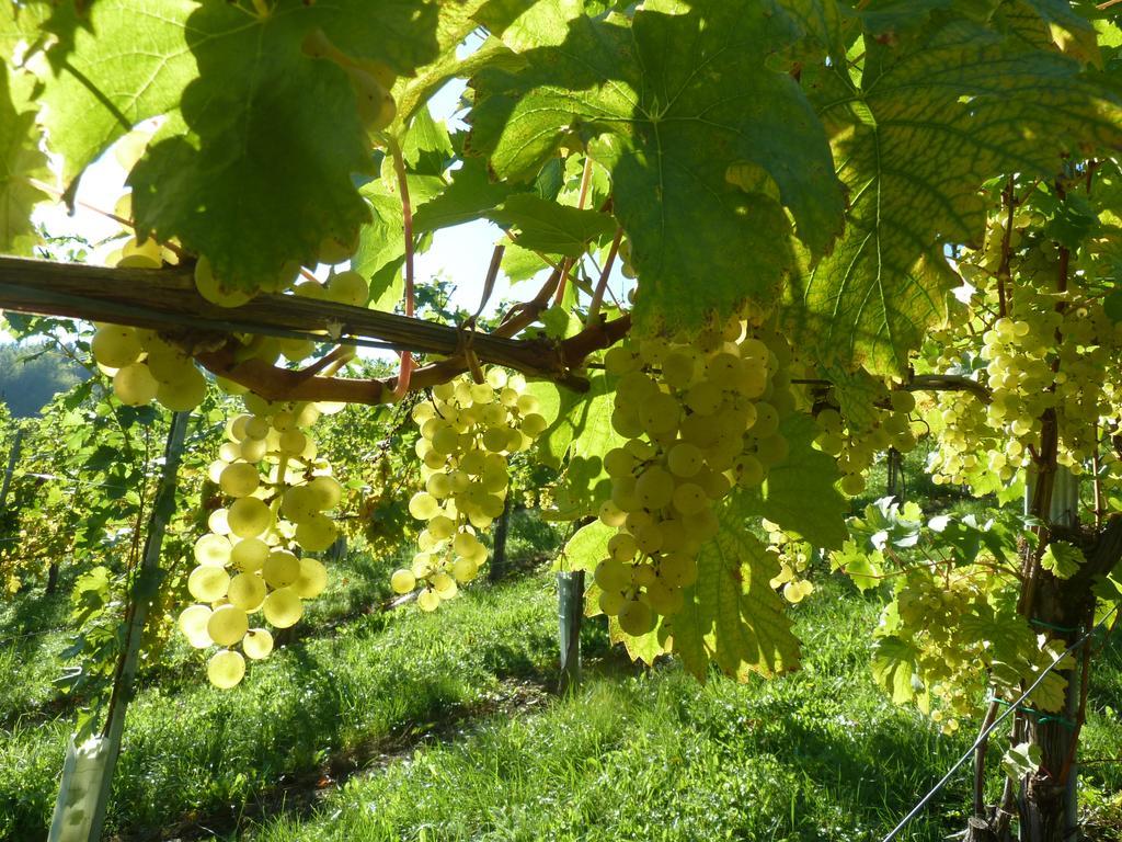 Weingut- Gaestezimmer Marko Leutschach Kültér fotó