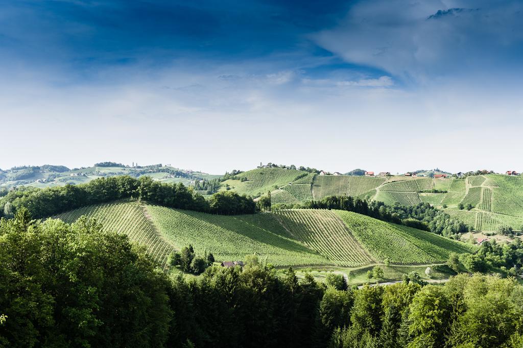 Weingut- Gaestezimmer Marko Leutschach Kültér fotó