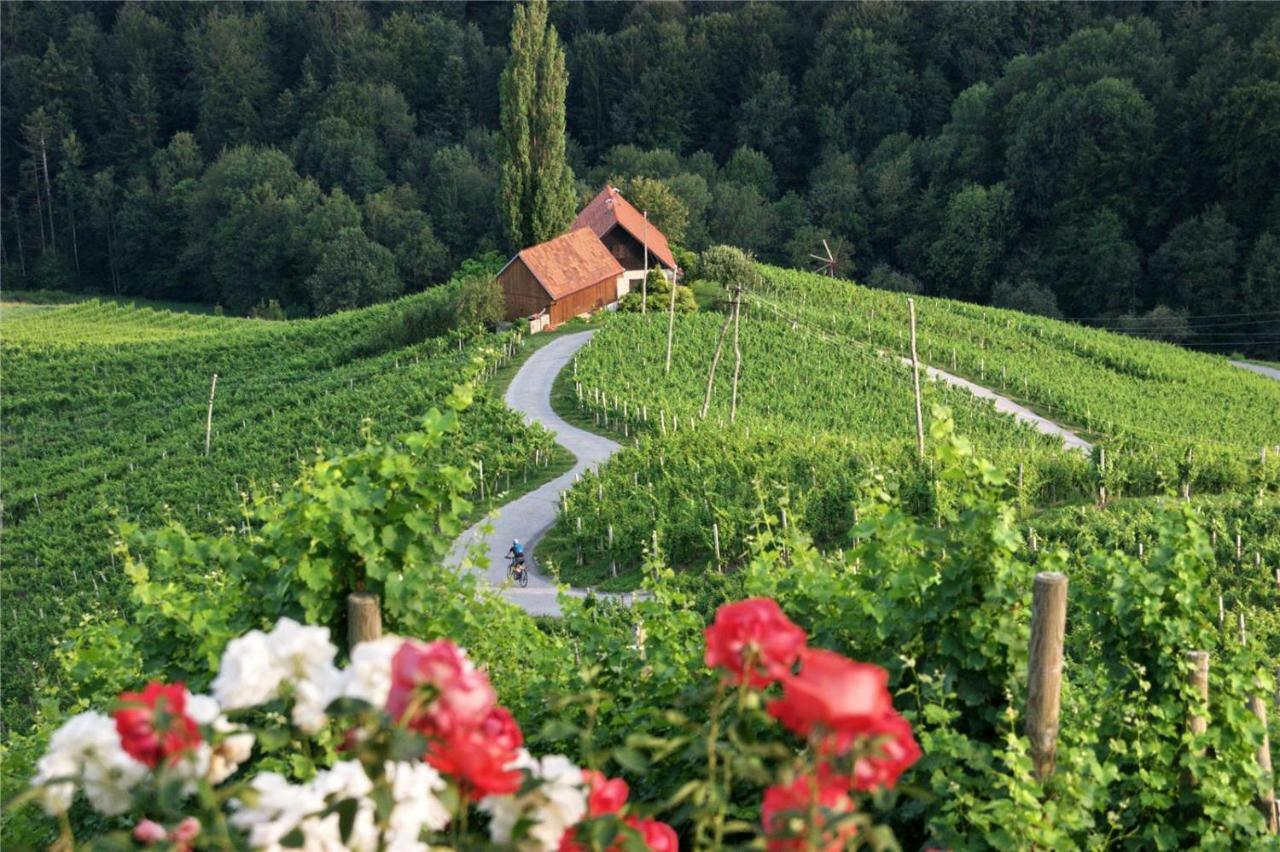 Weingut- Gaestezimmer Marko Leutschach Kültér fotó