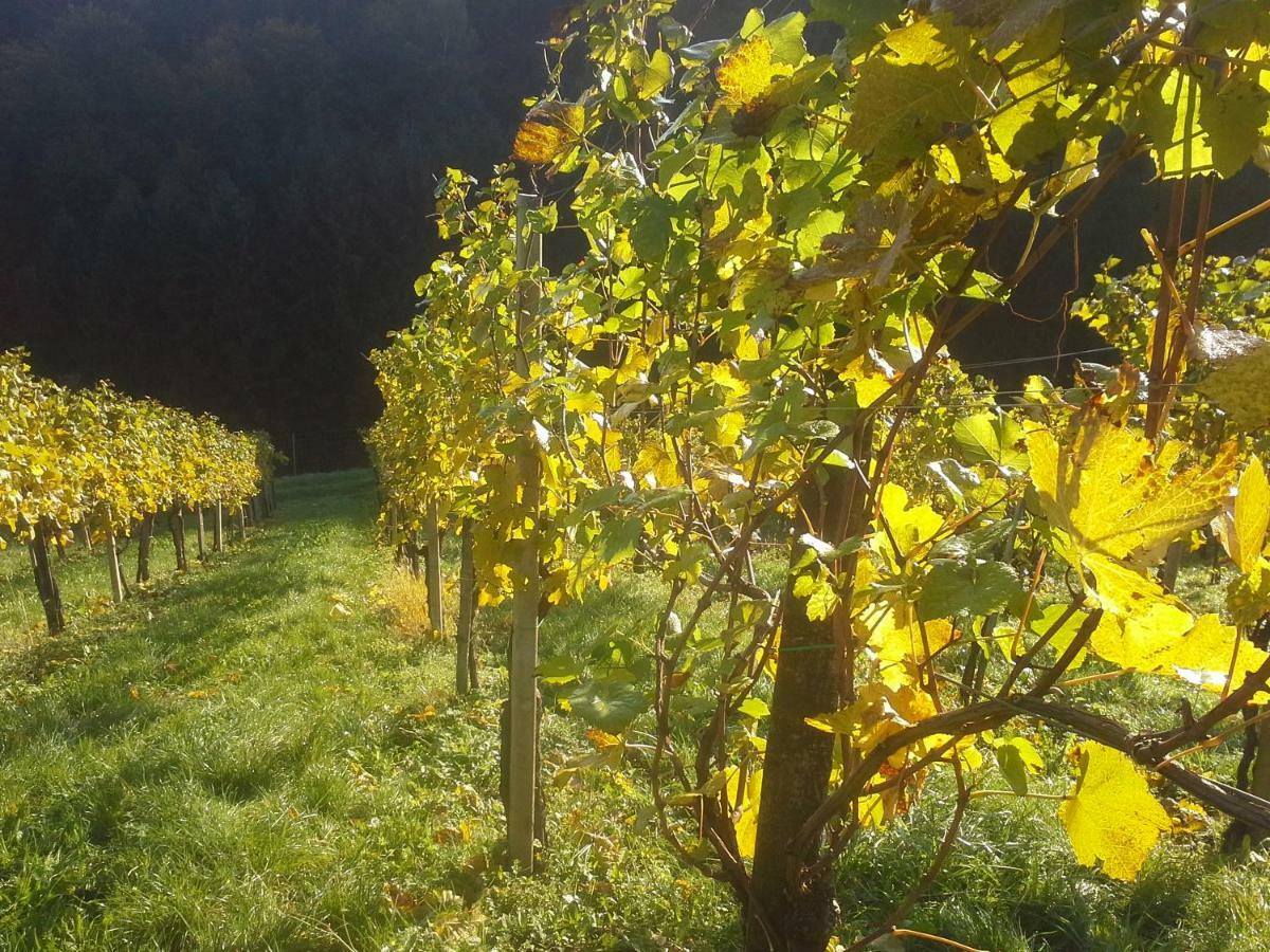 Weingut- Gaestezimmer Marko Leutschach Kültér fotó